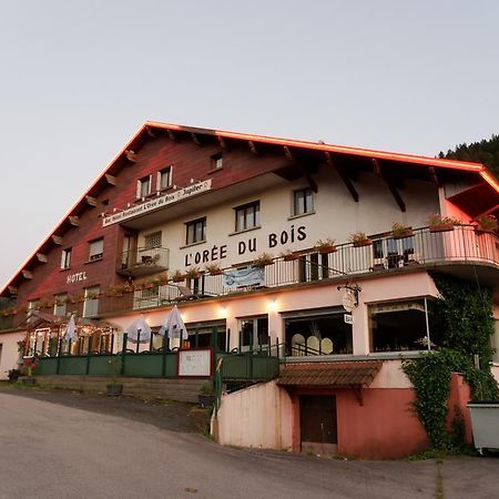 Hôtel L'Orée du Bois Xonrupt-Longemer Esterno foto